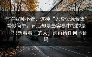 气得我睡不着：这种“免费资源合集”看似简单，背后却是最容易中招的是“只想看看”的人；别再给任何验证码