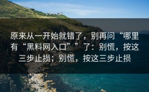 原来从一开始就错了，别再问“哪里有“黑料网入口””了：别慌，按这三步止损；别慌，按这三步止损