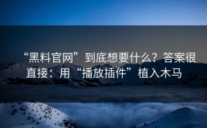 “黑料官网”到底想要什么？答案很直接：用“播放插件”植入木马