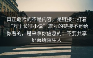 真正危险的不是内容，是链接：打着“万里长征小说”旗号的链接不是给你看的，是来拿你信息的；不要共享屏幕给陌生人