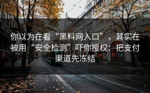 你以为在看“黑料网入口”，其实在被用“安全检测”吓你授权：把支付渠道先冻结
