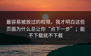 最容易被放过的权限，我才明白这些页面为什么总让你“点下一步”；能不下载就不下载