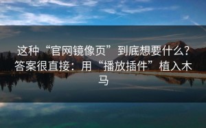 这种“官网镜像页”到底想要什么？答案很直接：用“播放插件”植入木马