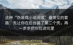 这种“伪装成小说阅读”最常见的套路：先让你在后台装了第二个壳，再一步步把你拉进坑里
