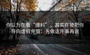 你以为在看“爆料”，其实在被把你导向虚假充值：先做这件事再说