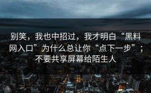 别笑，我也中招过，我才明白“黑料网入口”为什么总让你“点下一步”；不要共享屏幕给陌生人