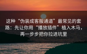 这种“伪装成客服通道”最常见的套路：先让你用“播放插件”植入木马，再一步步把你拉进坑里