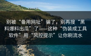 别被“备用网址”骗了，别再搜“黑料爆料出瓜”了——这种“伪装成工具软件”用“风控提示”让你刷流水