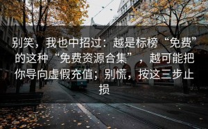 别笑，我也中招过：越是标榜“免费”的这种“免费资源合集”，越可能把你导向虚假充值；别慌，按这三步止损