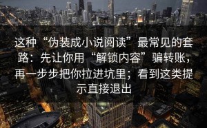 这种“伪装成小说阅读”最常见的套路：先让你用“解锁内容”骗转账，再一步步把你拉进坑里；看到这类提示直接退出