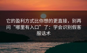 它的盈利方式比你想的更直接，别再问“哪里有入口”了：学会识别假客服话术