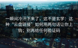 一瞬间冷汗下来了，这不是玄学：这种“云盘链接”如何用两句话让你上钩；别再给任何验证码