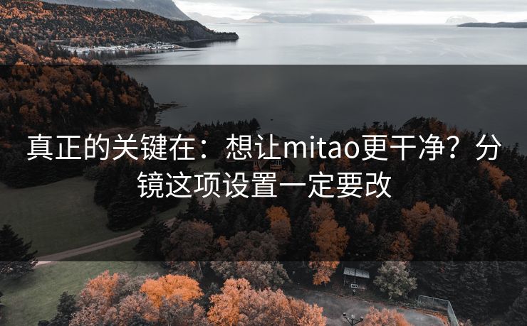 真正的关键在：想让mitao更干净？分镜这项设置一定要改