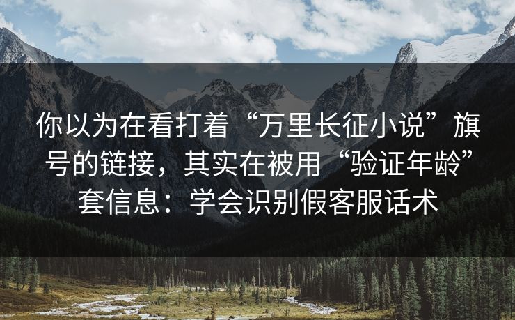 你以为在看打着“万里长征小说”旗号的链接，其实在被用“验证年龄”套信息：学会识别假客服话术