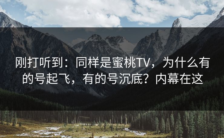 刚打听到：同样是蜜桃TV，为什么有的号起飞，有的号沉底？内幕在这